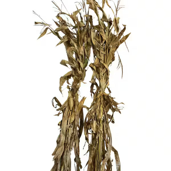 Corn Stalk Bundle